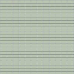Winckelmans Rectangles 23,5 x 50 mm (Linear Pattern op net 318 x 318 x 5)