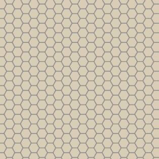 Winckelmans Hexagon 50 mm (op net 295 x 281 x 5)