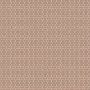 Winckelmans Hexagon 25 mm (op net 295 x 280 x 3,8)