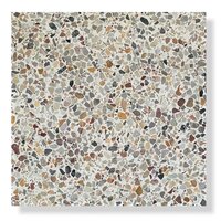 Sample Terrazzo Sassi