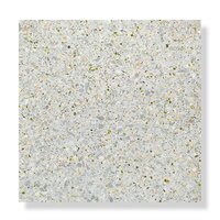 Sample Terrazzo Sassi