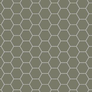 Winckelmans Hexagon 100 mm (op net 293 x 303 x 9)