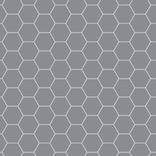 Winckelmans Hexagon 100 mm (op net 293 x 303 x 9)