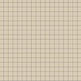 Winckelmans Square 50 mm (op net 318 x 318 x 5)
