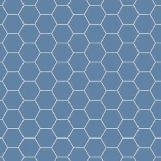 Winckelmans Hexagon 100 mm (op net 293 x 303 x 9)
