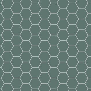 Winckelmans Hexagon 100 mm (op net 293 x 303 x 9)