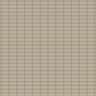 Winckelmans Rectangles 23,5 x 50 mm (Linear Pattern op net 318 x 318 x 5)