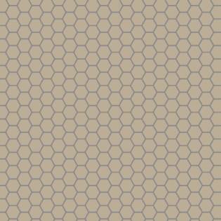 Winckelmans Hexagon 50 mm (op net 295 x 281 x 5)