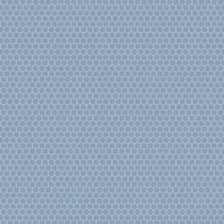 Winckelmans Hexagon 25 mm (op net 295 x 280 x 3,8)