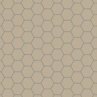 Winckelmans Hexagon 100 mm (op net 293 x 303 x 9)