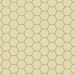 Winckelmans Hexagon 100 mm (op net 293 x 303 x 9)