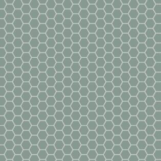 Winckelmans Hexagon 50 mm (op net 295 x 281 x 5)