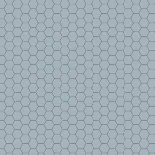 Winckelmans Hexagon 50 mm (op net 295 x 281 x 5)