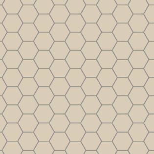 Winckelmans Hexagon 100 mm (op net 293 x 303 x 9)
