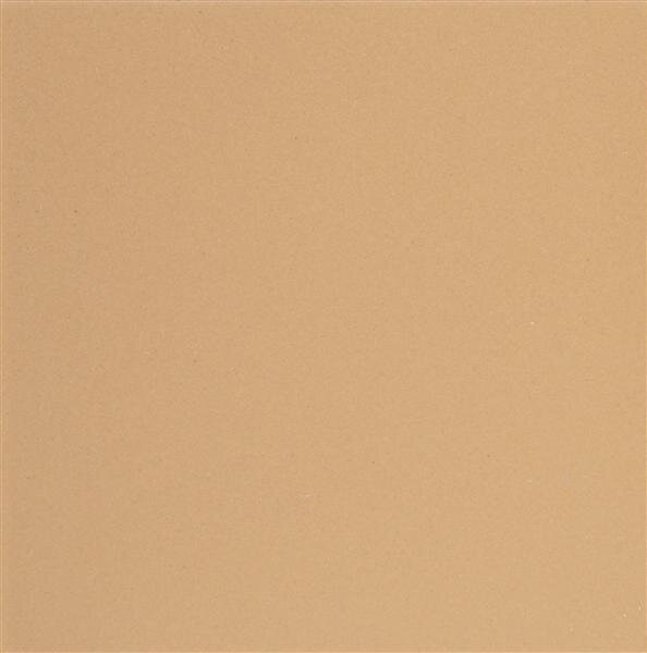 Square 37 x 37