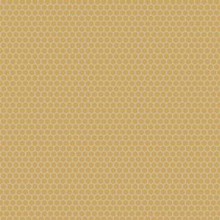 Winckelmans Hexagon 25 mm (op net 295 x 280 x 3,8)