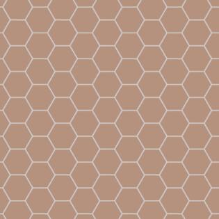 Winckelmans Hexagon 100 mm (op net 293 x 303 x 9)