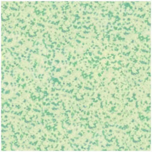 Winckelmans Square 100 mm (op net 307,5 x 307,5 x 9)