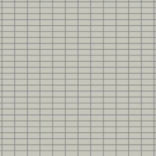 Winckelmans Rectangles 23,5 x 50 mm (Linear Pattern op net 318 x 318 x 5)