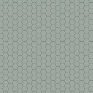 Winckelmans Hexagon 50 mm (op net 295 x 281 x 5)