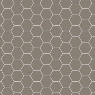 Winckelmans Hexagon 100 mm (op net 293 x 303 x 9)