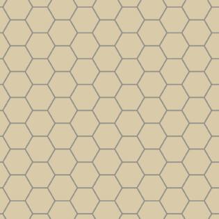 Winckelmans Hexagon 100 mm (op net 293 x 303 x 9)