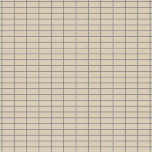 Winckelmans Rectangles 23,5 x 50 mm (Linear Pattern op net 318 x 318 x 5)
