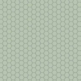 Winckelmans Hexagon 50 mm (op net 295 x 281 x 5)