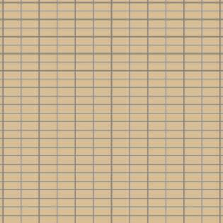 Winckelmans Rectangles 23,5 x 50 mm (Linear Pattern op net 318 x 318 x 5)