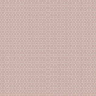 Winckelmans Hexagon 25 mm (op net 295 x 280 x 3,8)