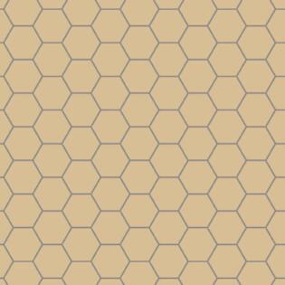 Winckelmans Hexagon 100 mm (op net 293 x 303 x 9)