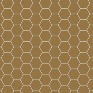 Winckelmans Hexagon 100 mm (op net 293 x 303 x 9)