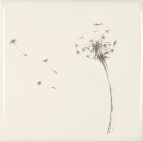 Blown Dandelion 127 x 127 x 10