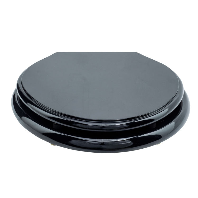 Lavatory Seat - High Gloss Black