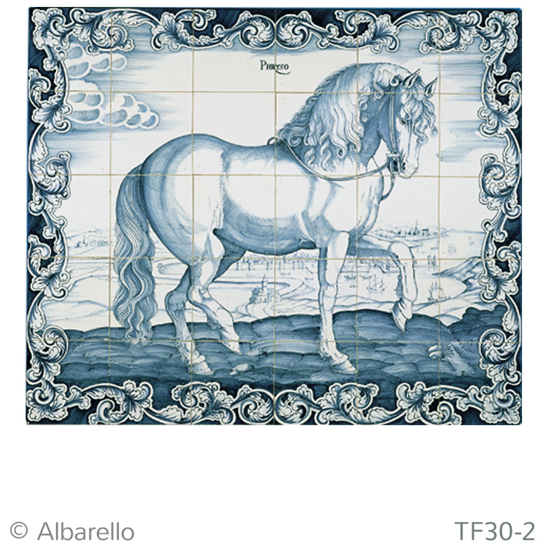 Phryso omlijst 650 x 780 x 8
