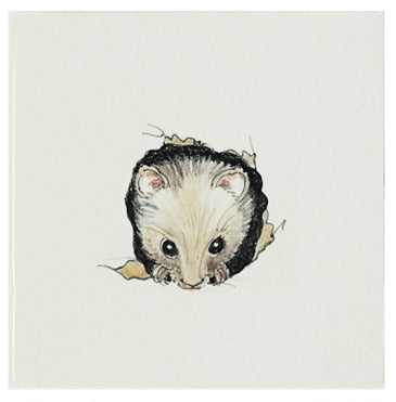Muis 1 - 130 x 130