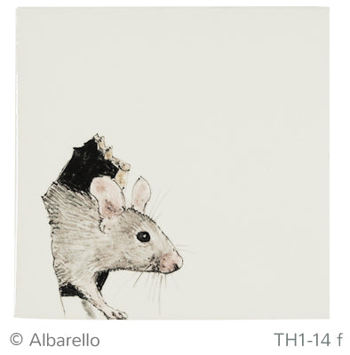 Muis 6 - 130 x 130
