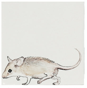 Muis 9 - 130 x 130