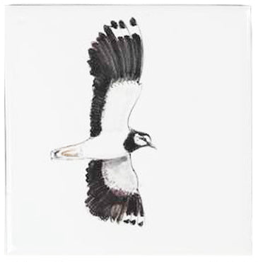 Kievit 8 - 130 x 130