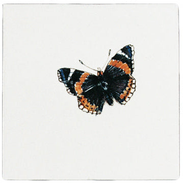 Vlinder 1 - 130 x 130