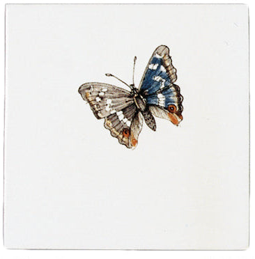 Vlinder 3 - 130 x 130