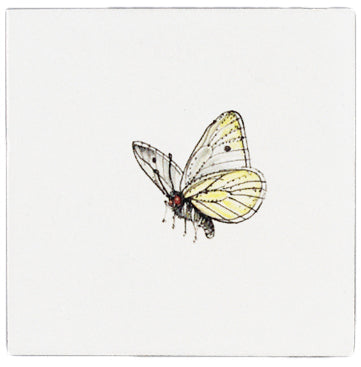 Vlinder 4 - 130 x 130