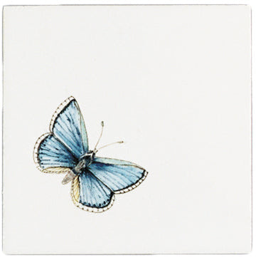 Vlinder 6 - 130 x 130