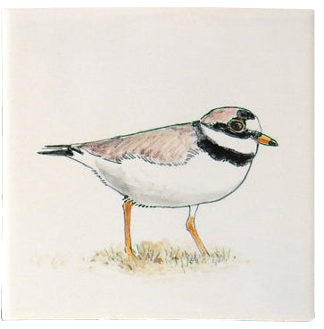 Waddenleven 3 - 130 x 130