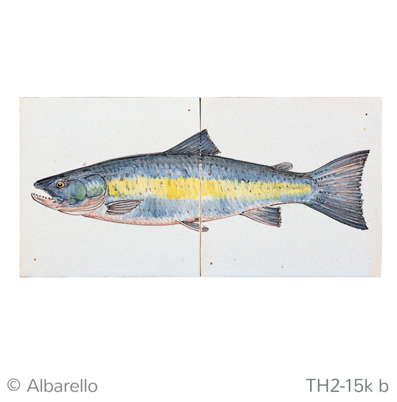 Vis Zalm Kleur 130 x 260 x 8