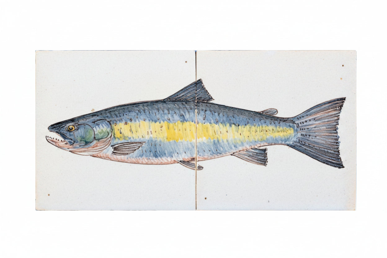 Vis Zalm Kleur 130 x 260 x 8