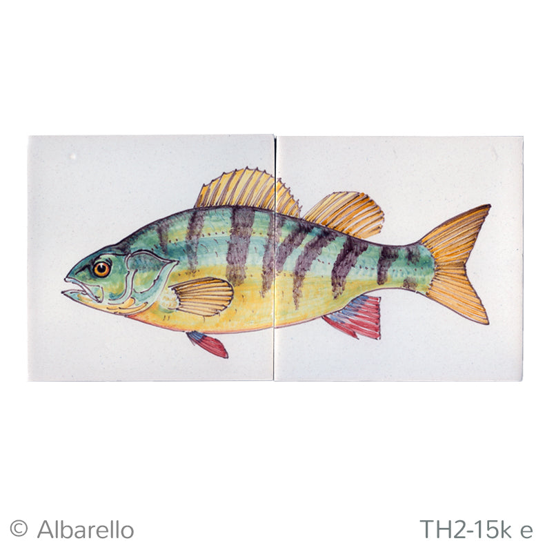 Vis Baars Kleur - 130 x 260 x 8