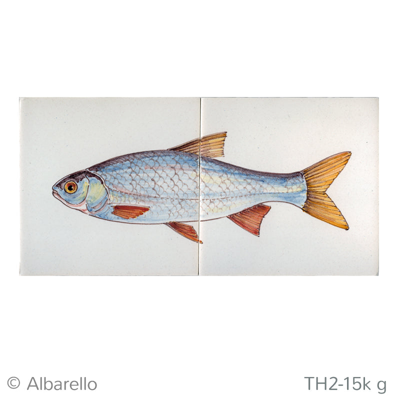Vis Sneep Kleur 130 x 260 x 8