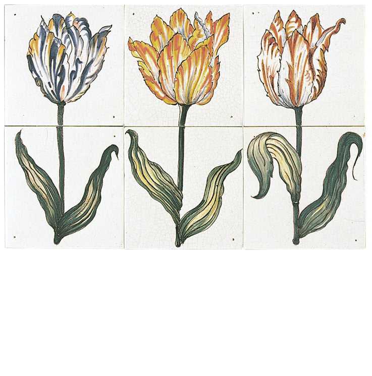 Tulpen 260 x 390 x 8