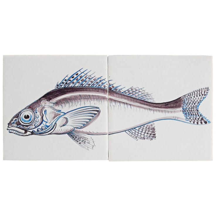 Fisk 13 - 130 x 260 x 8